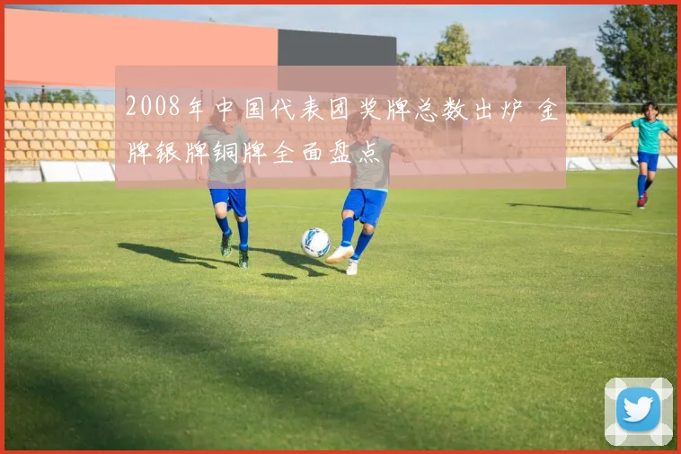 2008年中国代表团奖牌总数出炉 金牌银牌铜牌全面盘点
