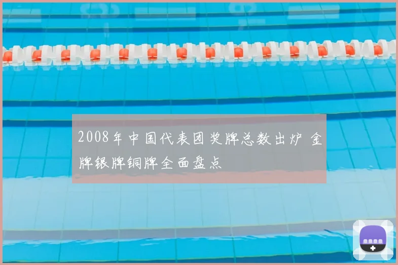 2008年中国代表团奖牌总数出炉 金牌银牌铜牌全面盘点